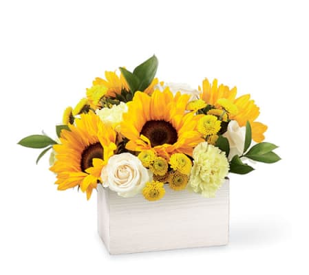 SWEET AS LEMONADE FTD