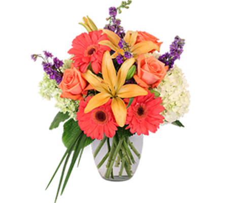 Love you forever mom