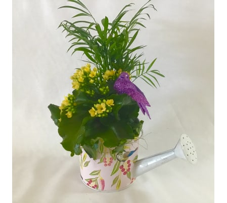 Cortez Metal Watering can