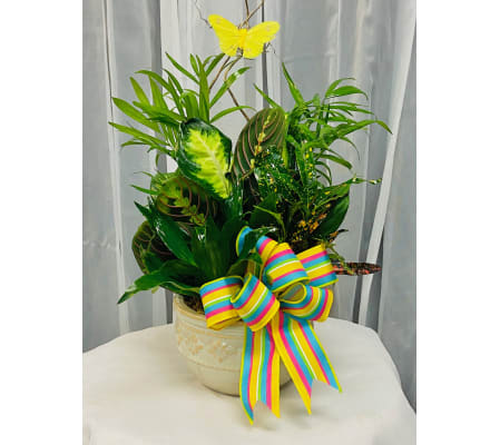 Ellington's Petite Garden - Containers and Accents Vary