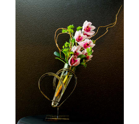 Orchids exclusive