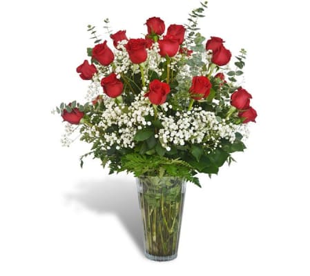 2 Dozen Red Roses DW