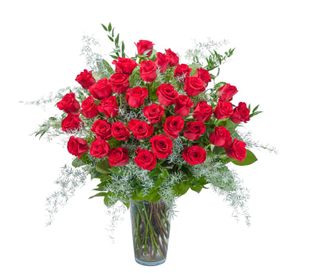 3 Dozen Red Roses DW