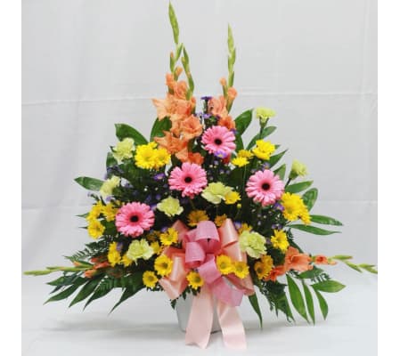 Springgg Basket