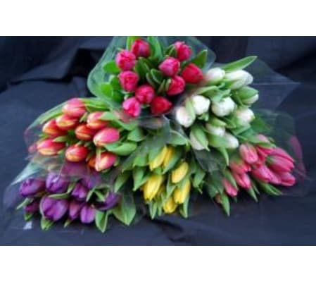 Wrapped Tulips 10, 20 or 30 Stems