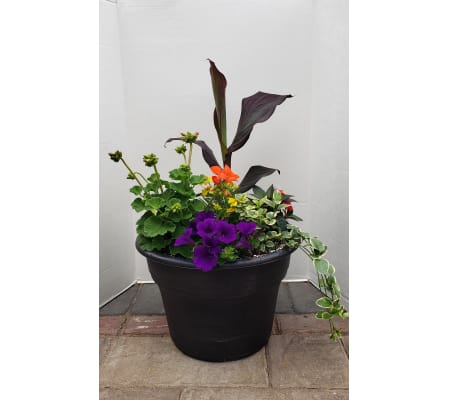 Patio Pot for Sun