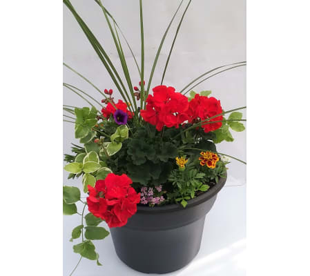 Outdoor Patio planter