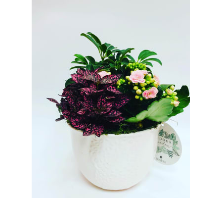 Pure Love Mother's Day Planter