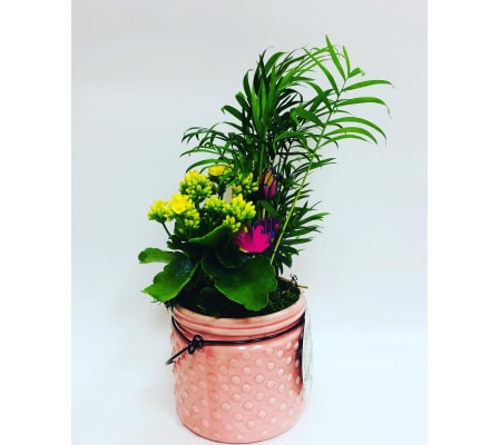 Little Beauty for Mum