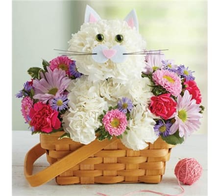Meow Fabulous Feline