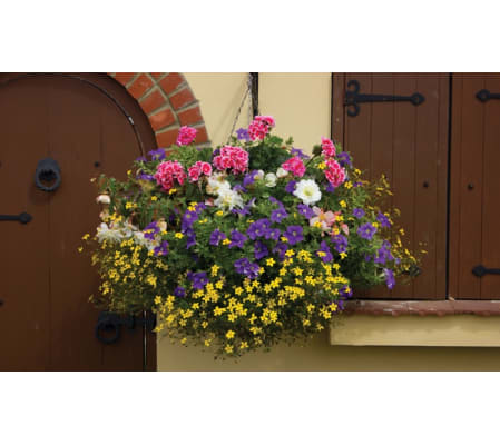 Hanging Baskets Summer 2020