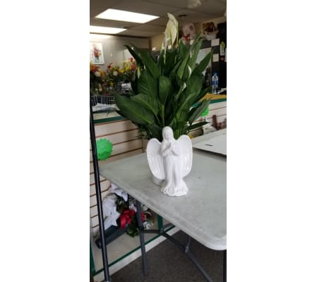 Angel Planter peace lily
