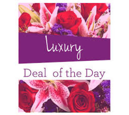 Luxury Designers Choice