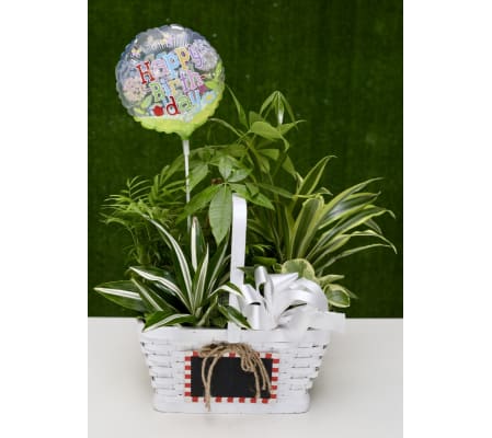 Fresh Country Garden Basket with 'Happy Birthday' Balloon