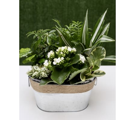 Country Garden Green Tin Basket