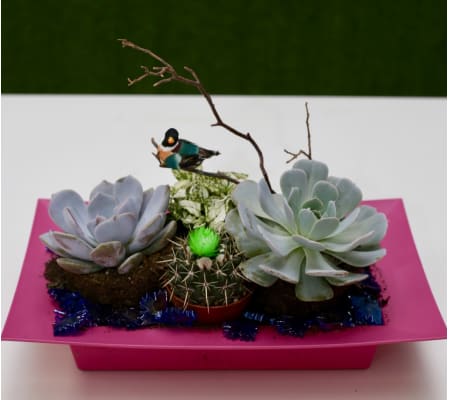 Succulent Paradise Dish Garden