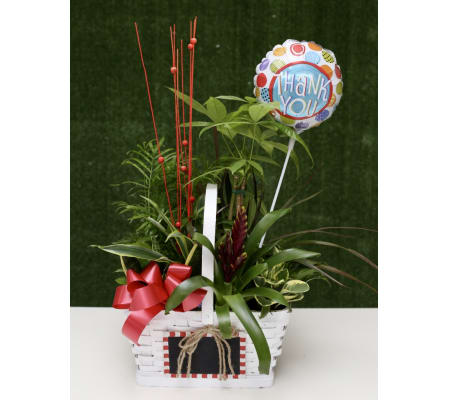 Charming Dish Garden with Thank You Balloon