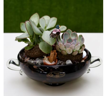 Bird's Paradise Dish Garden (Featuring Polish Vase)