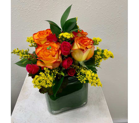 Roses in Cube Squared