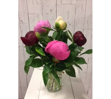 Beautiful Peony