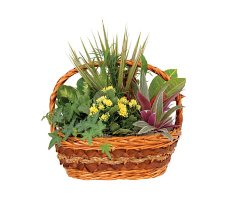 Carrie Indoor Garden Basket (Large)