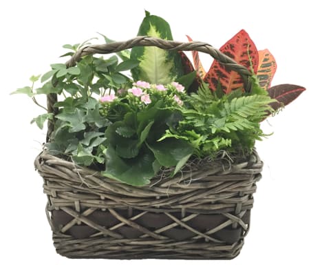 Griswold Planter Basket (Medium)