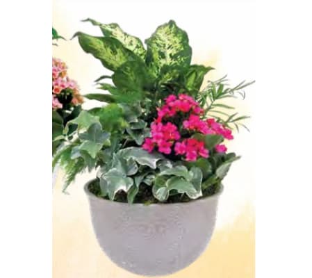 Spring Breeze Dish Garden