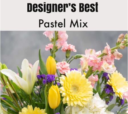Designer’s Best-Pastel
