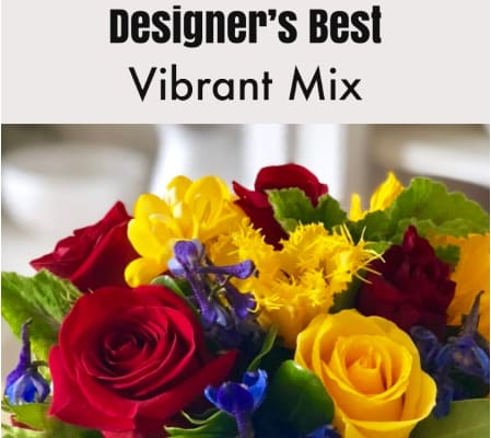Designer’s Best-Vibrant