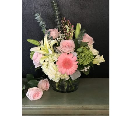 Garden Rose Grace