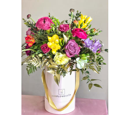 Beautiful bright colors