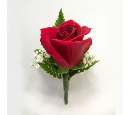 Perfect Red Rose Bout