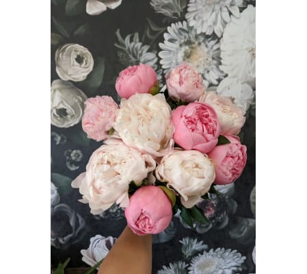 Bundle of Mixed Peonies (5/10/15 Stems)