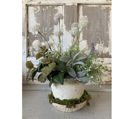 French Provincial Herb Pot