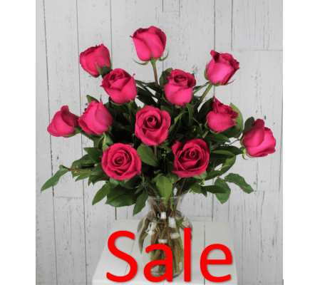 Dozen Hot Pink Rose Bouquet