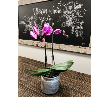 Simplicity Planter