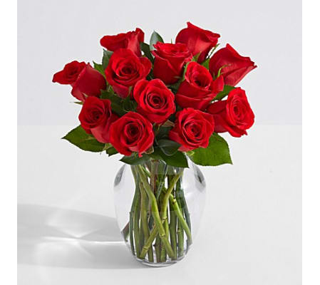 Dozen Long Stem Roses Red