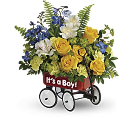 BABY'S FIRST WAGON-IT'S A BOY