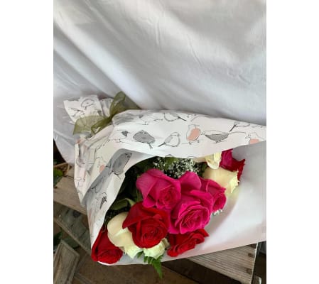 One Dozen Mixed Roses Bold Coloured