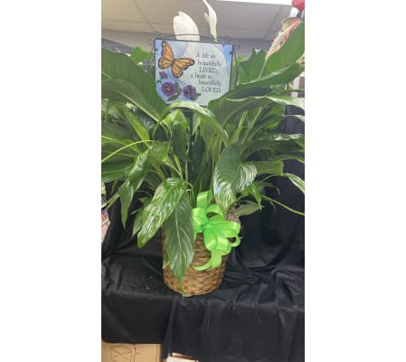 GARDEN STAKE BUTTERFLY IN PEACE LILY