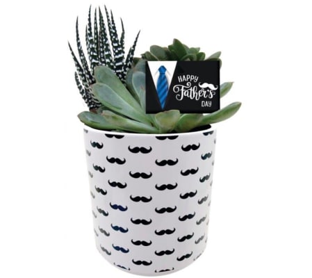 Moustache Succulent Planter