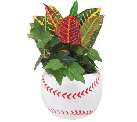 Baseball Green Planter Garden