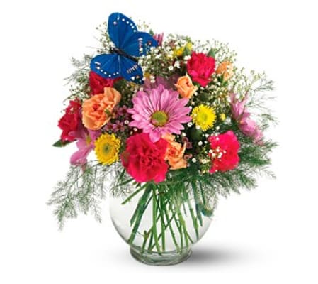 Teleflora's Butterfly Blossoms Vase Arrangement