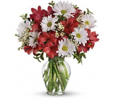 Dancing In Daisies Vase Arrangement