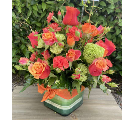Orange to make you Smile