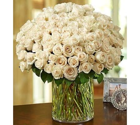 Grand Splendor 150 White Roses