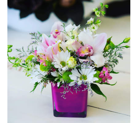 Delicately Delightful