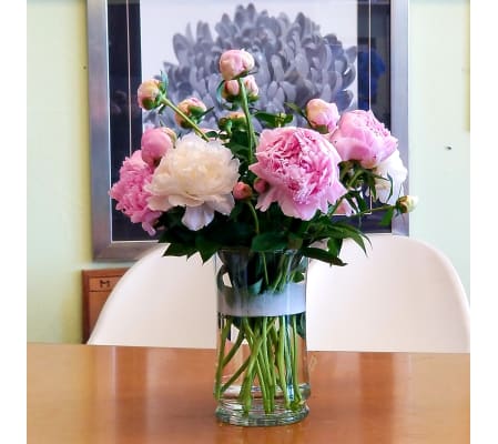 Lovely Peonies