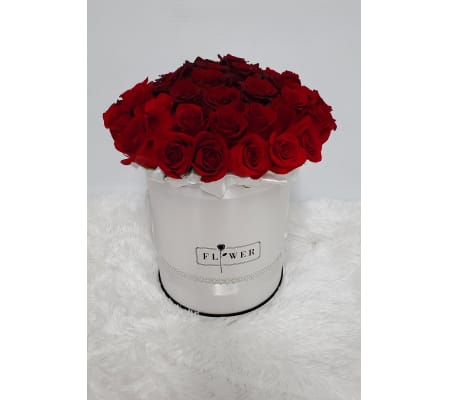 50 Roses in Couture Box