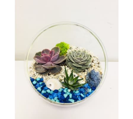 The Heart Company- Glass Stand Succulents - Beach Theme